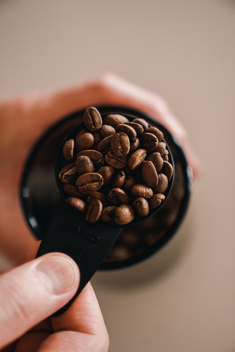 コーヒー豆をスプーンですくい、淹れる準備をする様子