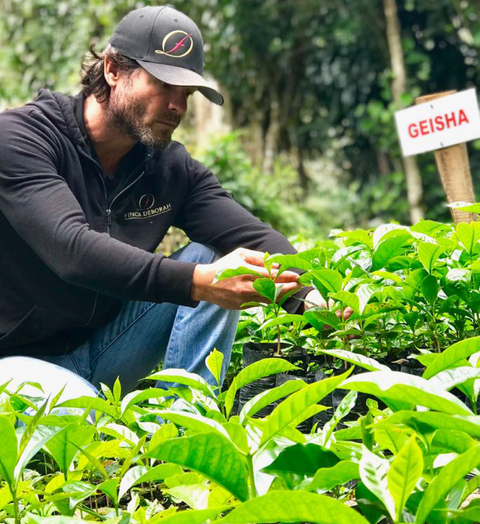 Limited Reserve Vol.1 -Panama Geisha-